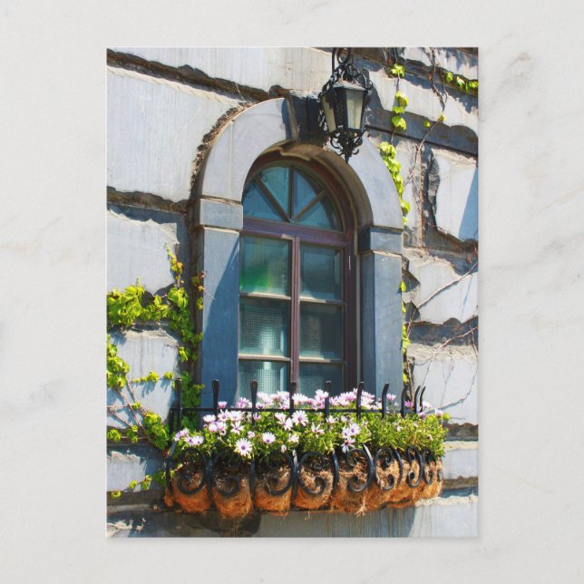 POSTAL VENTANAS PUERTAS FLORES EDIFICIO POSTCROSSING (Anverso)