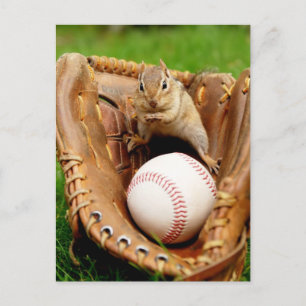 Postal Ventilador de béisbol Chipmunk