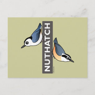 Postal Ventilador de nuthatch