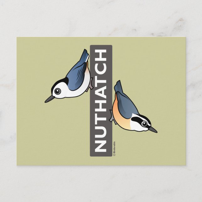 Postal Ventilador de nuthatch (Anverso)