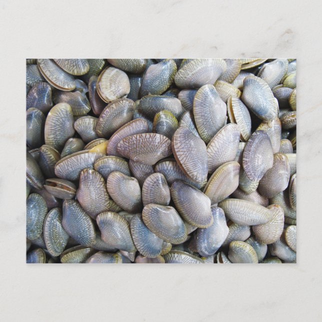 Postal Venus Clam [ห อ ย ล ย] (Anverso)