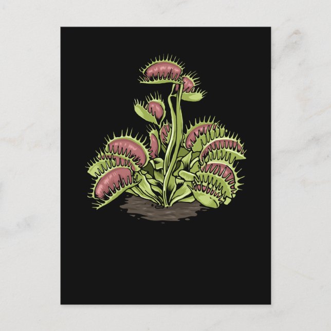 Postal Venus Fly Trap Planta Carnivorous Planta Venus Fly (Anverso)