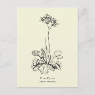 Postal Venus Flytrampa, planta carnívora