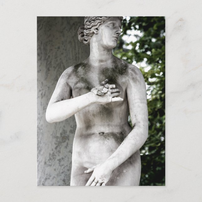 Postal Venus Postcard (Anverso)