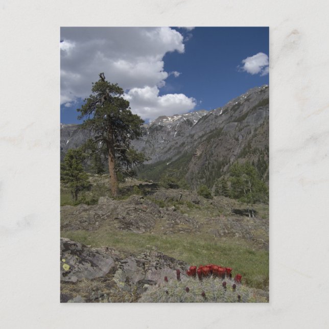 Postal ver a lo largo del camino de minas sutton (Anverso)