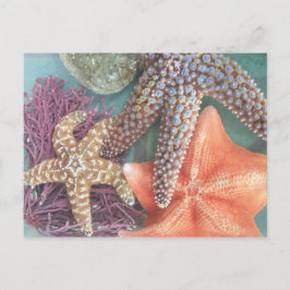 POSTAL VER ESTRELLAS