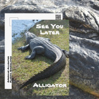 Ver Más Tarde Alligator Everglades Fotografía