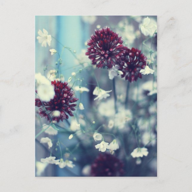 Postal Verano congelado (Anverso)