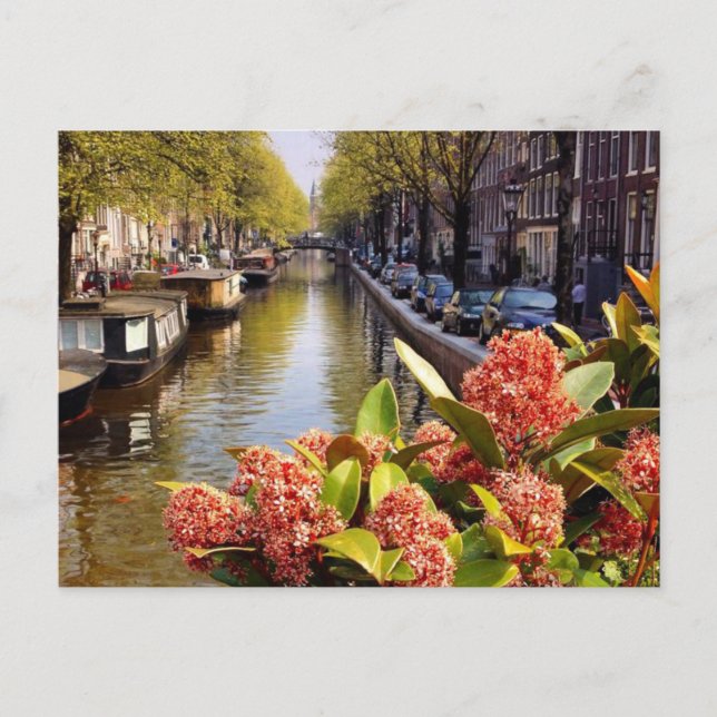Postal Verano de Bloemgracht (Anverso)