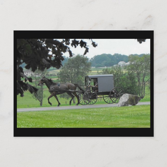 Postal Verano del ~ en el ~ 71 del condado de Lancaster (Anverso)