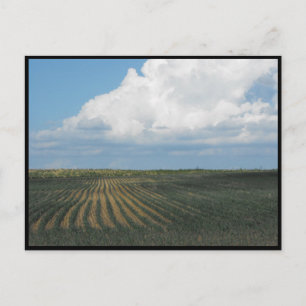 Postal ~ Verano en el condado de Lancaster ~ 34