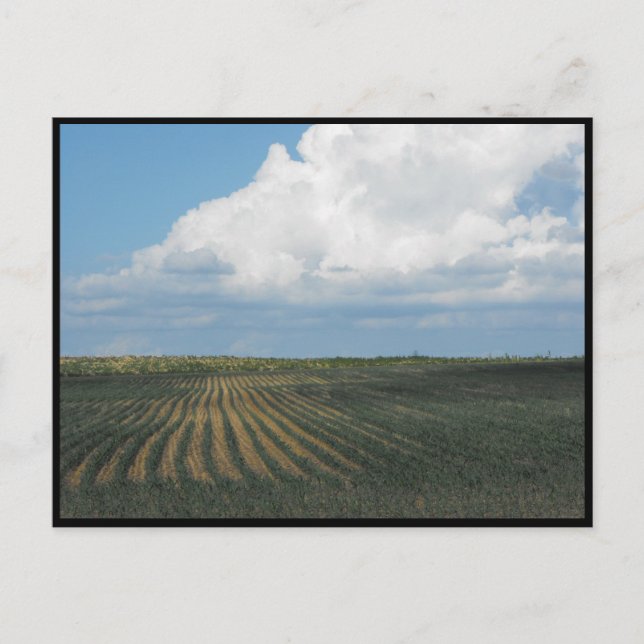 Postal ~ Verano en el Condado de Lancaster ~ 34 (Anverso)