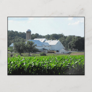 Postal ~ Verano en el condado de Lancaster ~ 46