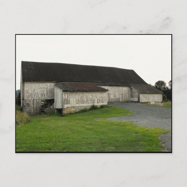 Postal ~ Verano en el condado de Lancaster ~ 50 (Anverso)