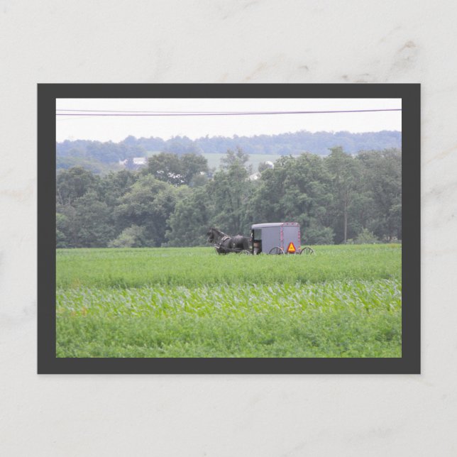 Postal ~ Verano en el condado de Lancaster ~ 6 (Anverso)