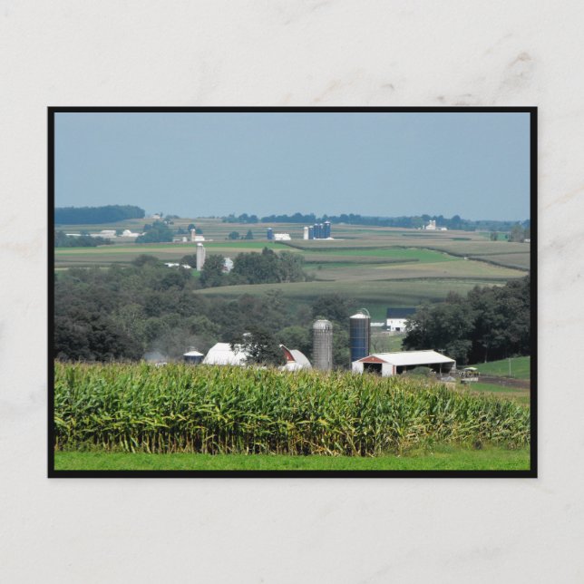 Postal ~ Verano en el condado de Lancaster ~ 62 (Anverso)