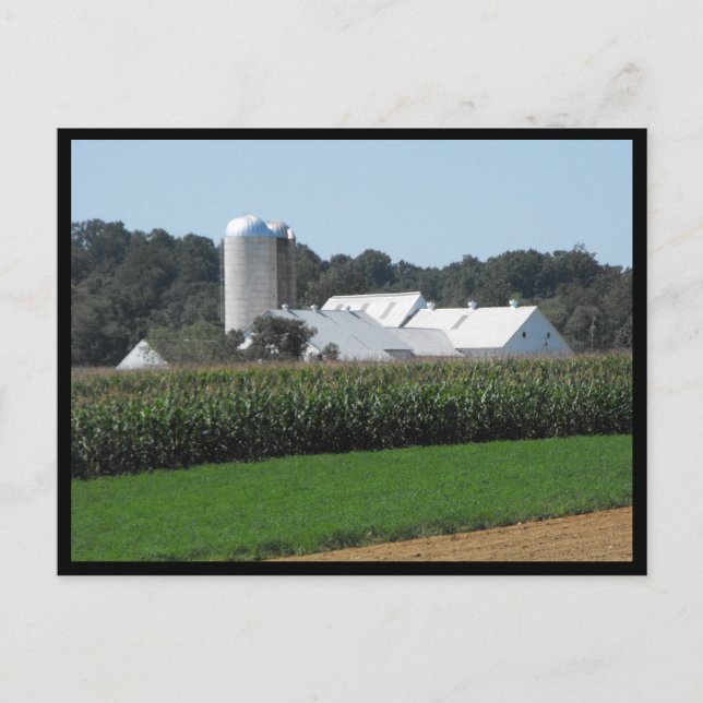 Postal ~ Verano en el condado de Lancaster ~ 70 (Anverso)