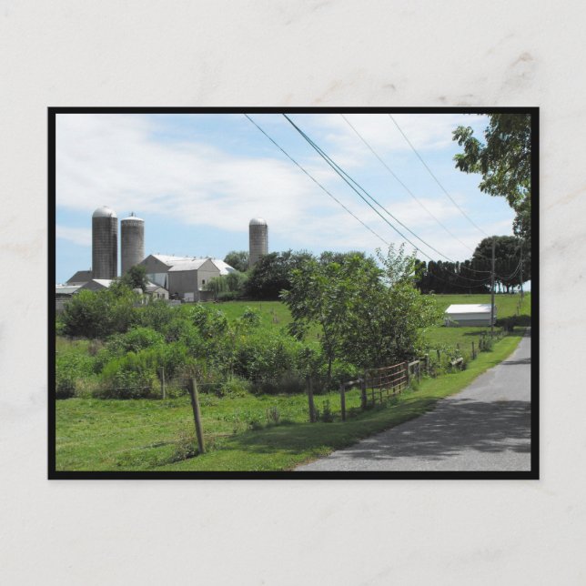 Postal ~ Verano en el condado de Lancaster ~ 79 (Anverso)