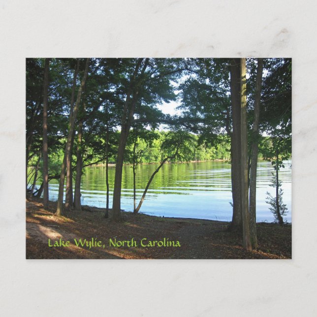 Postal ¡Verano en el lago Wylie! (Anverso)