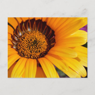 Postal Verano en Flor