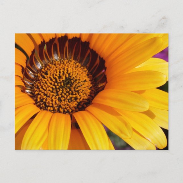 Postal Verano en Flor (Anverso)