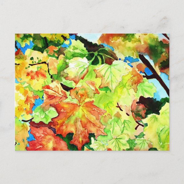 Postal verano indio (Anverso)