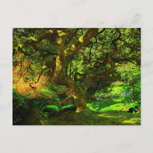 Postal Verano, Jardín Japonés de Portland, Portland (Anverso)