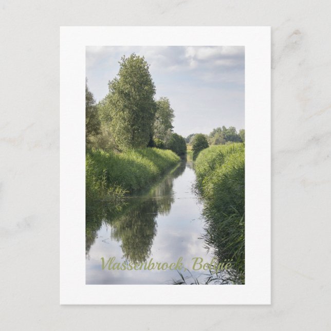 Postal Verano medio en Vlassenbroek, Bélgica (Anverso)