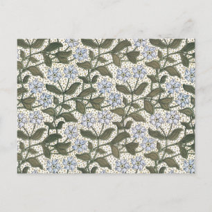 Postal Verano Periwinkle Bonito Flor Elegante Floral