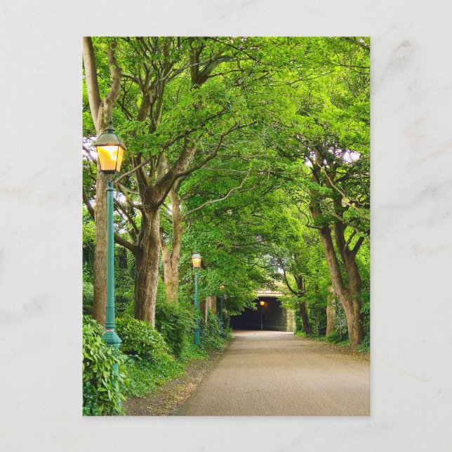 Postal Verano por la mañana (Anverso)