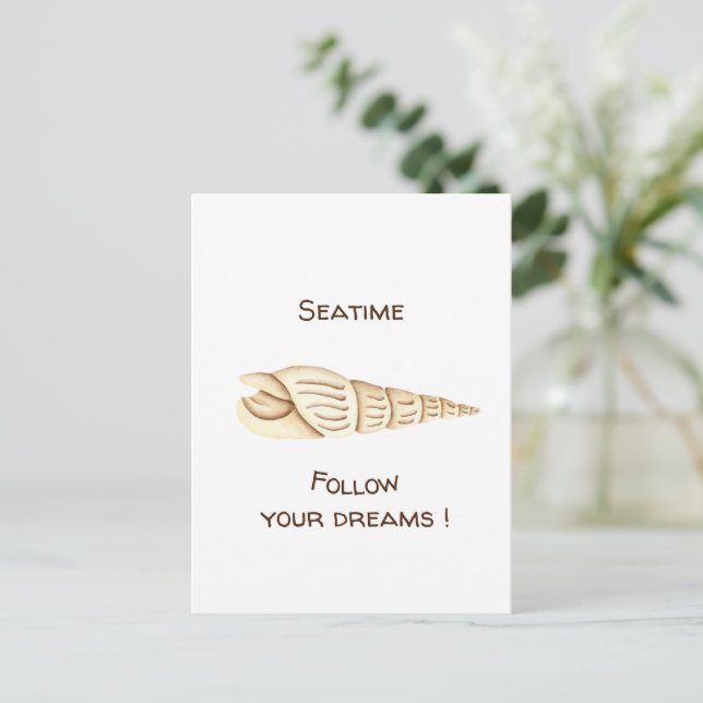 Postal Verano Sigue tus sueños Concha Romántico Lindo (Anverso de pie)