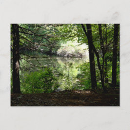 Postal Verano tardío en Walden Pond