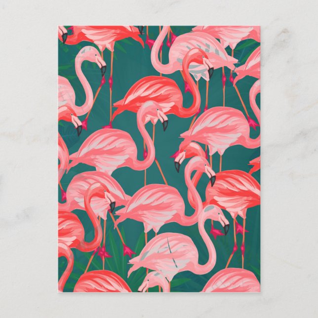 Postal verano tropical flamingo (Anverso)