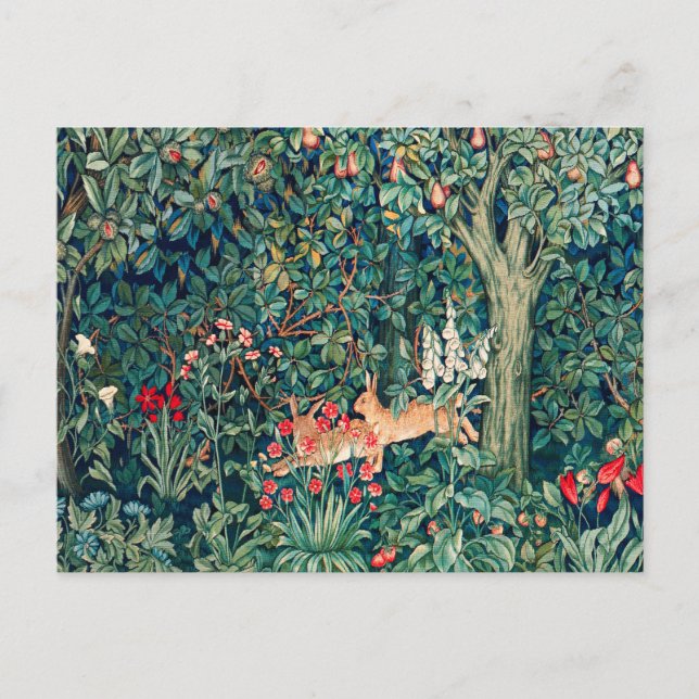 Postal VERDAD, ANIMALES FORESTALES, Hares, FRANJA DE LA F (Anverso)