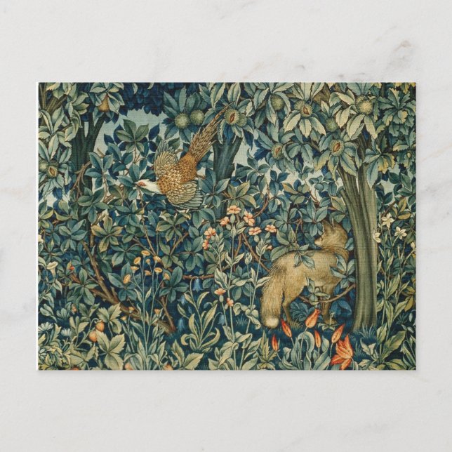 Postal VERDAD, ANIMALES FORESTALES Pheasant, Fox, Green F (Anverso)