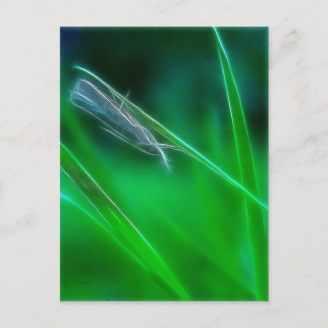 Postal verde (Anverso)