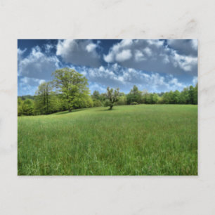 Postal verde apalache