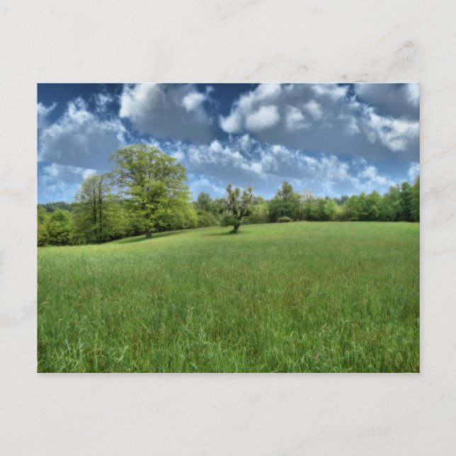 Postal verde apalache (Anverso)