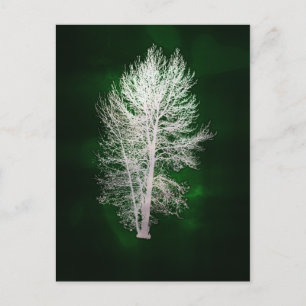 Postal verde de árbol falso metálico