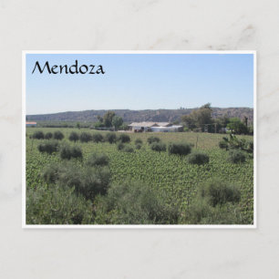 Postal verde de la bodega mendoza