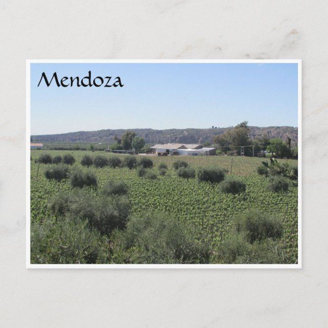 Postal verde de la bodega mendoza (Anverso)