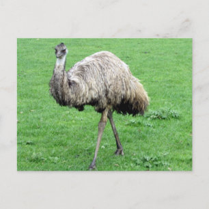postal verde emu