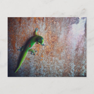 Postal verde gecko