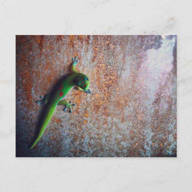 Postal verde gecko (Anverso)