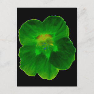 Postal verde nasturtium