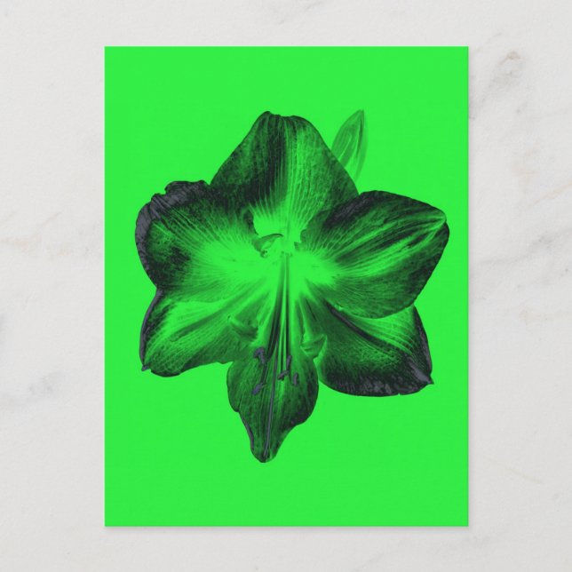 Postal Verde oscuro sobre Amaryllis verde claro (Anverso)