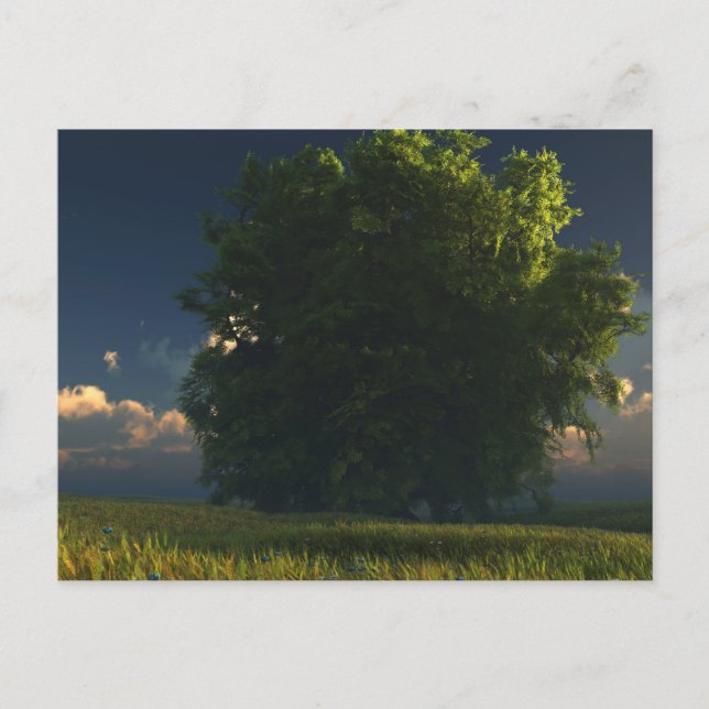 Postal verde y dorada (Anverso)