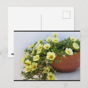 Postal Verdolaga de Floración Suculenta, Flor de la Pasió