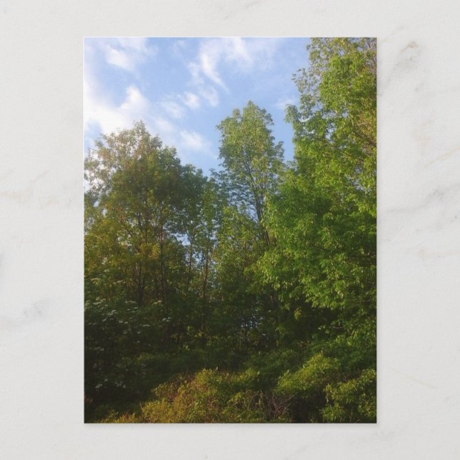 Postal Verdor (Anverso)