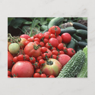 Postal Verduras 4